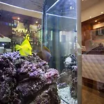 Astoria 3* Μπολόνια