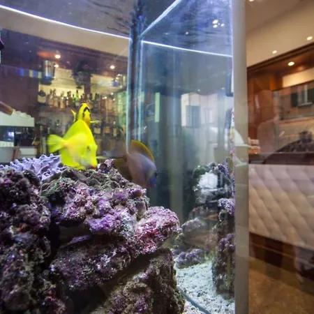 阿索托丽亚酒店 3* 博洛尼亚