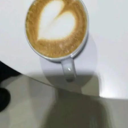 酒店 阿索托丽亚酒店 博洛尼亚