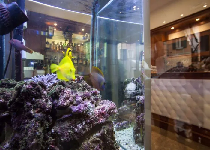 阿索托丽亚酒店 3* 博洛尼亚